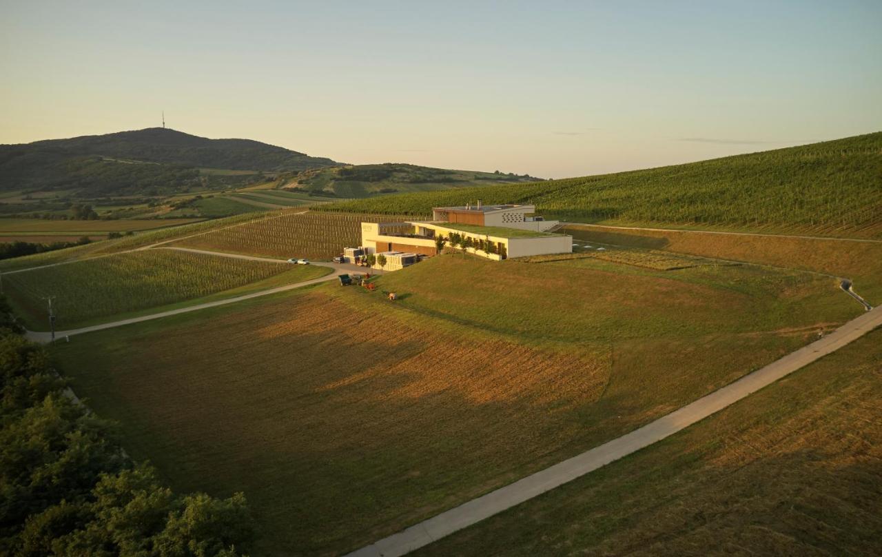 Henye Vendégház Bodrogkeresztur Extérieur photo